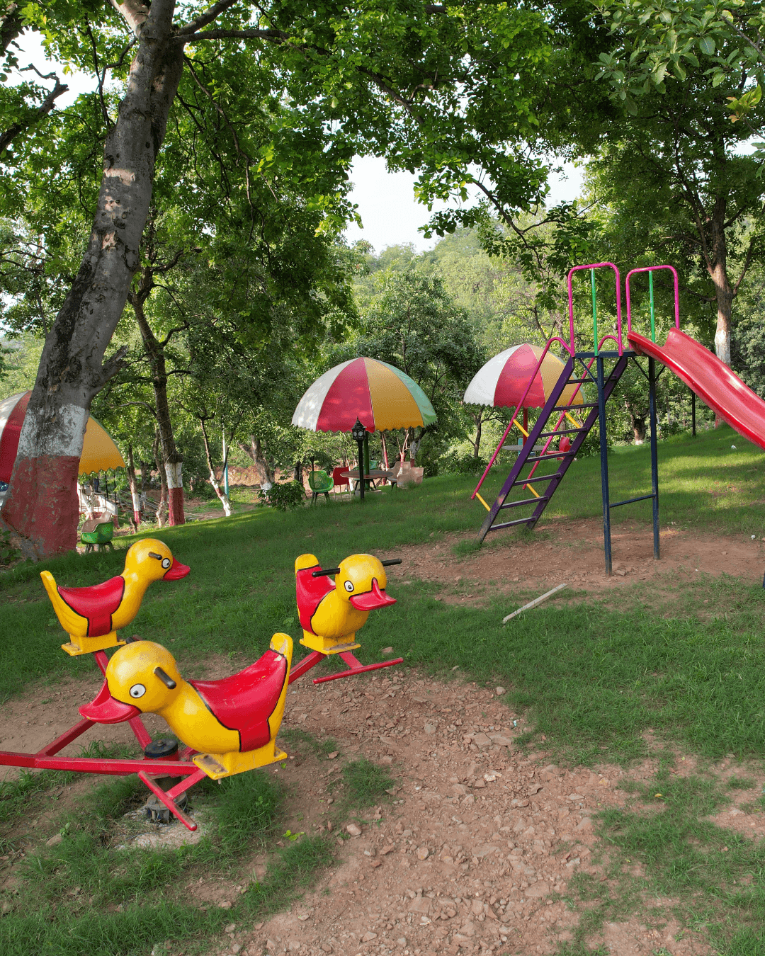 Kids Zone